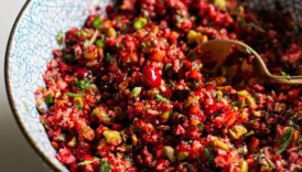 Cranberry Salsa